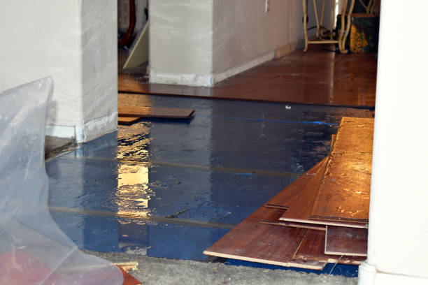 Professional Flood Damage Repair technician working in Manor, TX